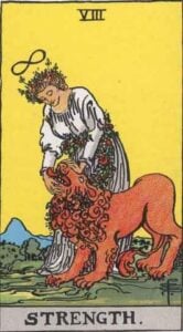 The-Strength-Tarot-Card-Meaning-Major-Arcana-Card-8