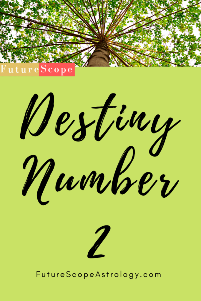 what is destiny number in astrology