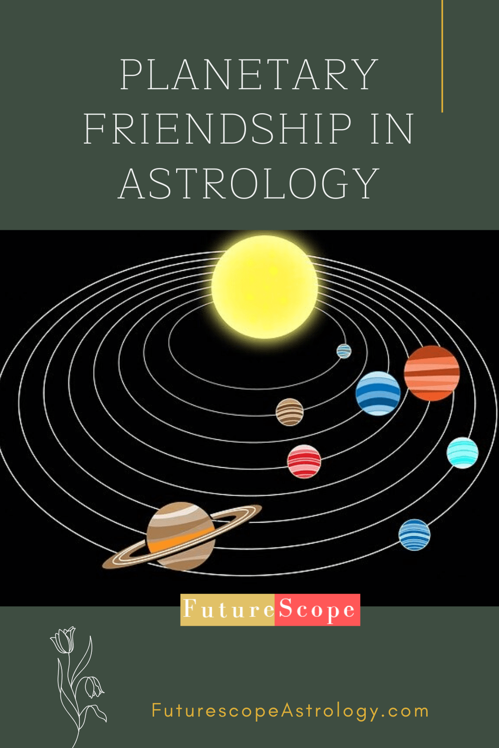 book on astrology stars and friendship