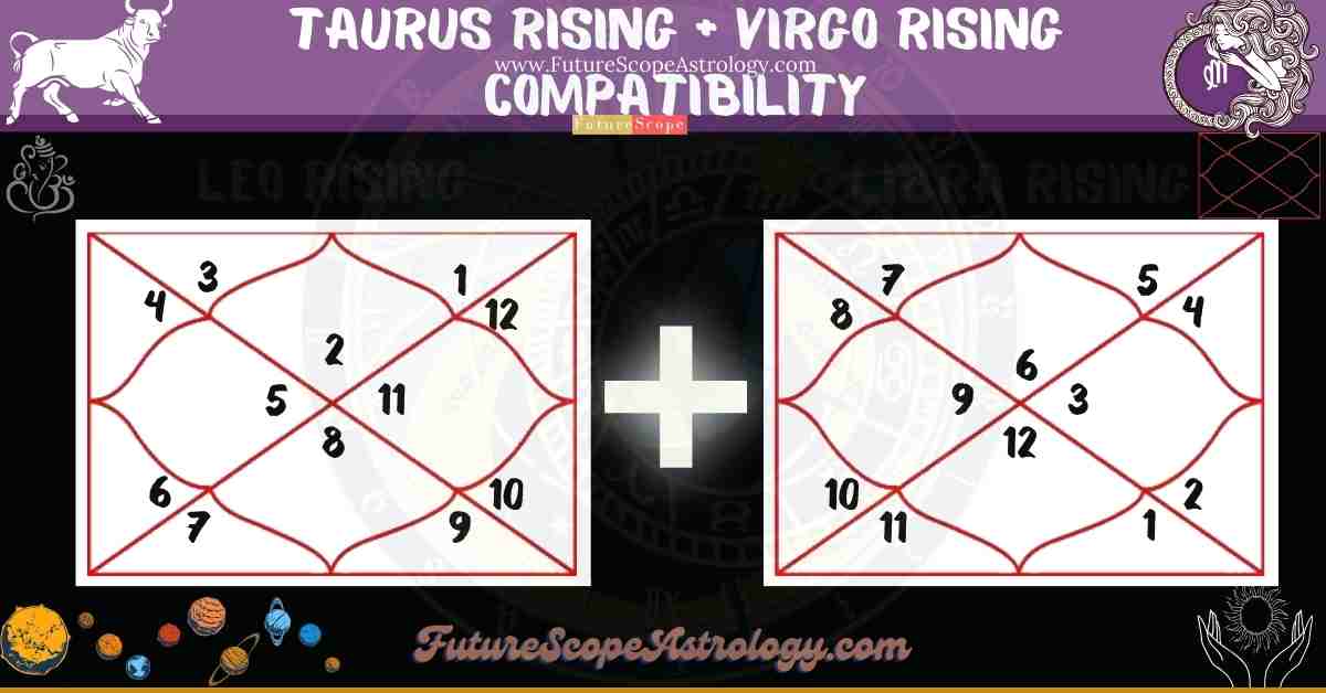 Taurus Rising Compatibility With Virgo Rising FutureScope Astrology   Taurus Rising Compatibility With Virgo Rising 